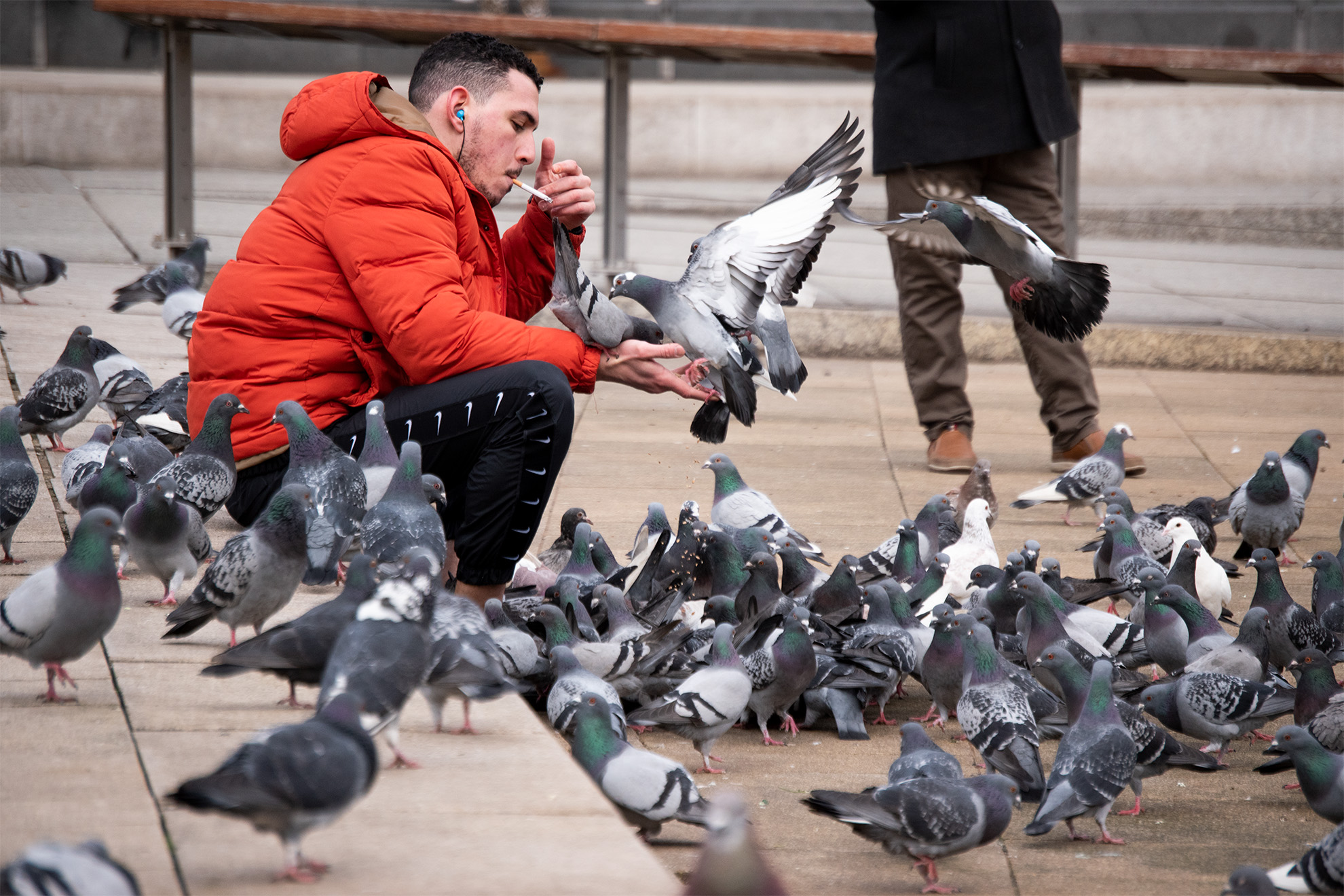 pigeon man in nottingham surrounded by birds